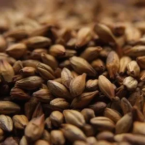 Dingemans Aromatic Malt