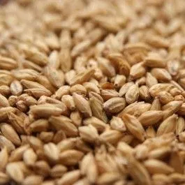 Rahr 2-Row Malt