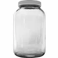 1 gallon glass jar with cover