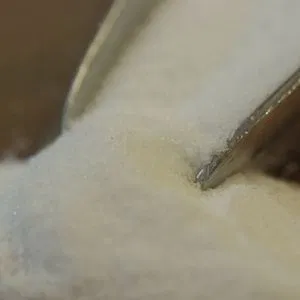 Malic Acid