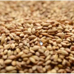 Briess Caramel 10LB