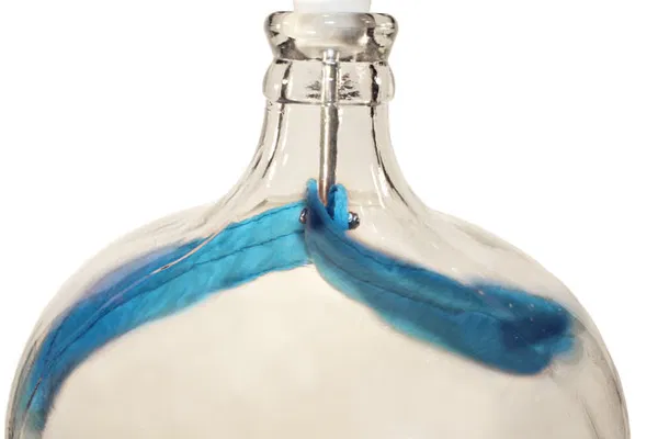 Carboy Cleaner