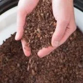 Trinidad Cocoa Nibs