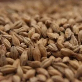 Simpsons Golden Promise Malt