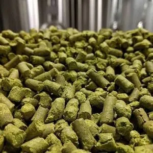 MA Grown Cascade 9.96% Alpha - Four Star Farms
