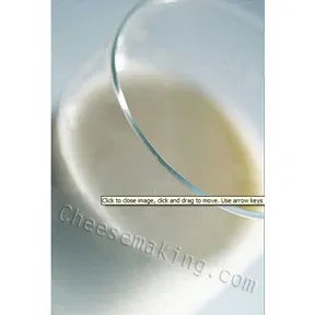Kefir Culture