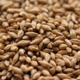 Weyermann Barke Pilsner Malt