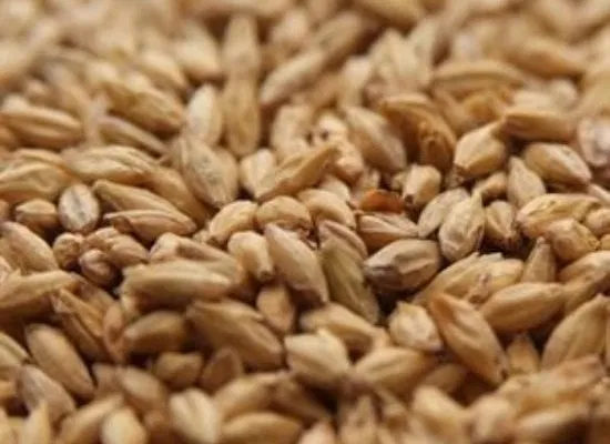Rahr High DP Distillers Malt