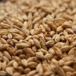 Rahr High DP Distillers Malt