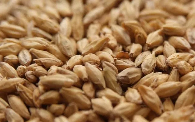 Crisp Best Ale Malt