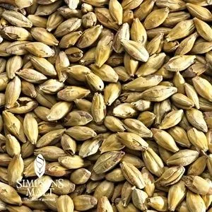 Simpsons Amber Malt