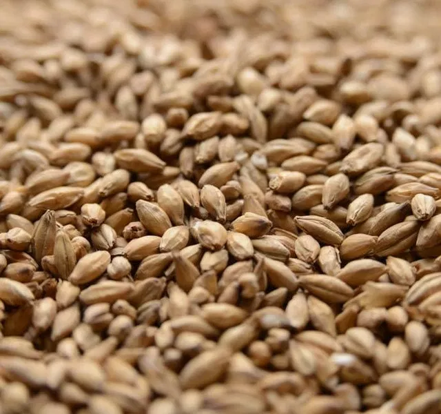 Peat Smoked Malt