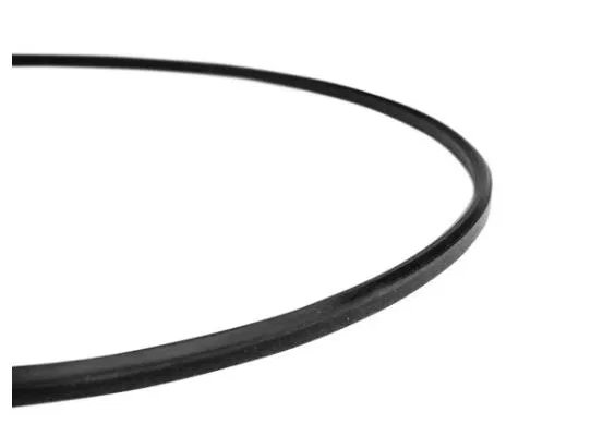 Spike Conical Replacement Lid Gasket