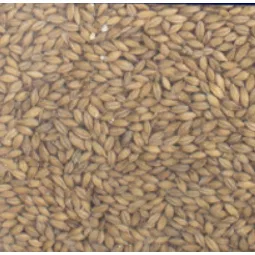 Warminster Brown Malt