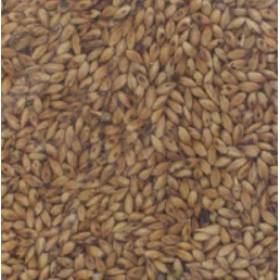Warminster Crystal Malt 40L