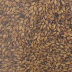 Warminster Crystal Malt 80L