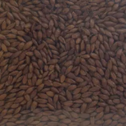 Warminster Pale Chocolate Malt