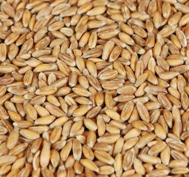 Weyermann Spelt Malt