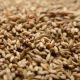 Briess Carapils malt