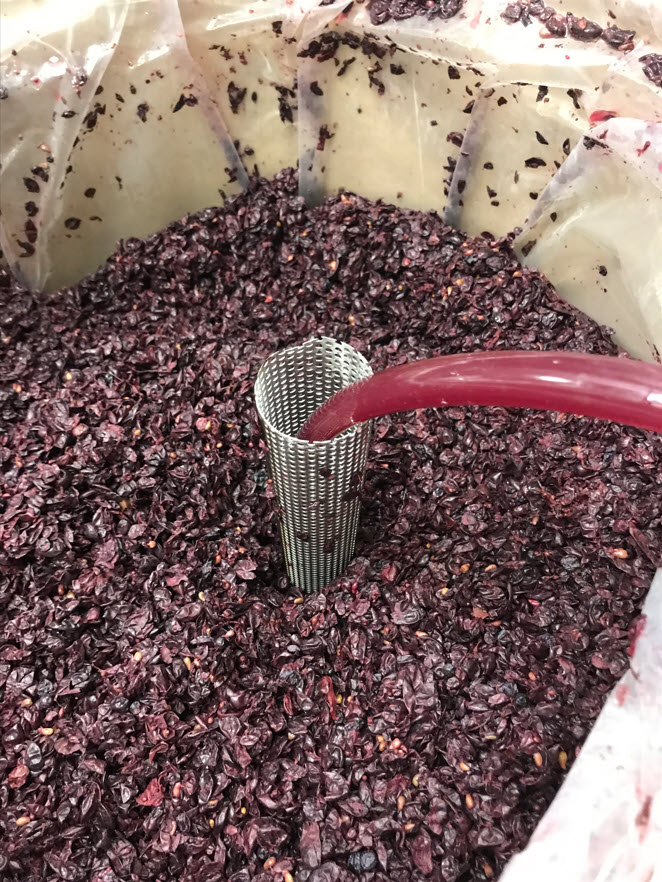 The Wine Siphon and Pumpover Tool Beer Wine Hobby Store View