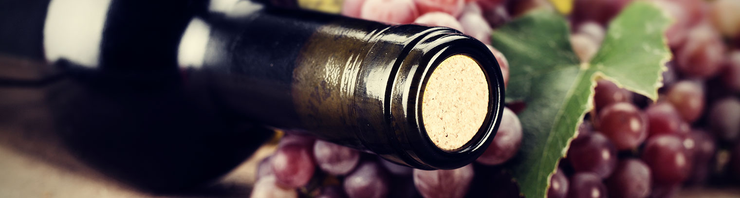 Wine Making Learning Center